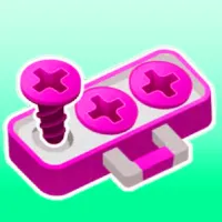 Screw Pin Jam Puzzle